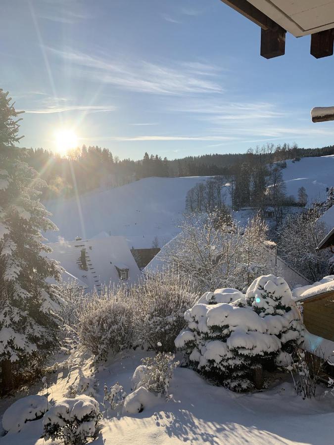 Ferienhaus Rotzinger Hinterzarten Bagian luar foto