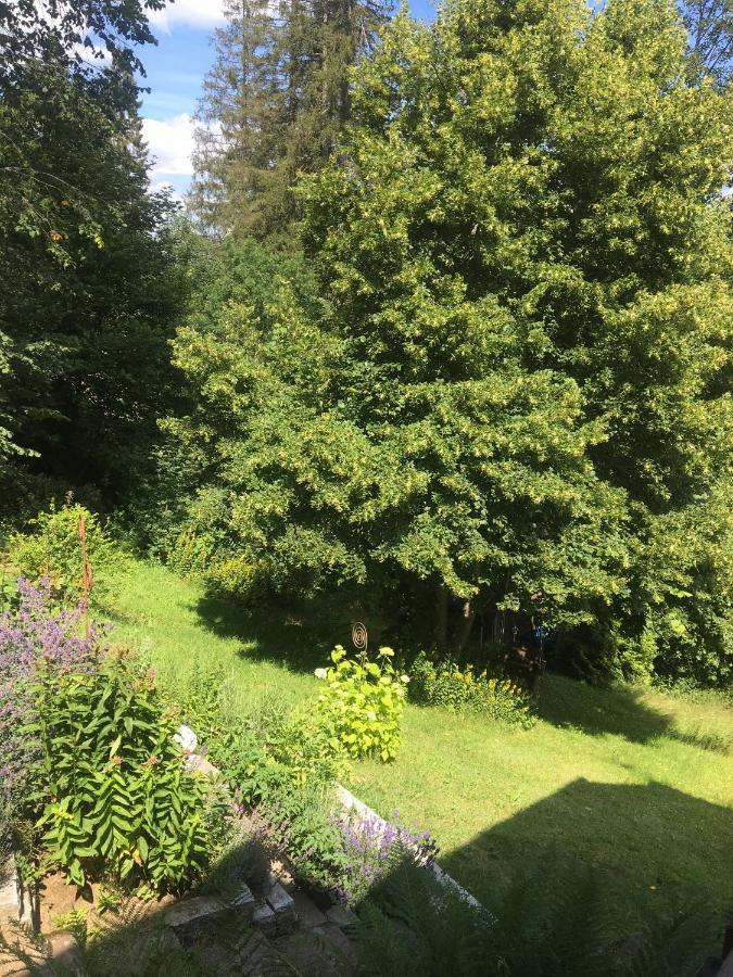Ferienhaus Rotzinger Hinterzarten Bagian luar foto