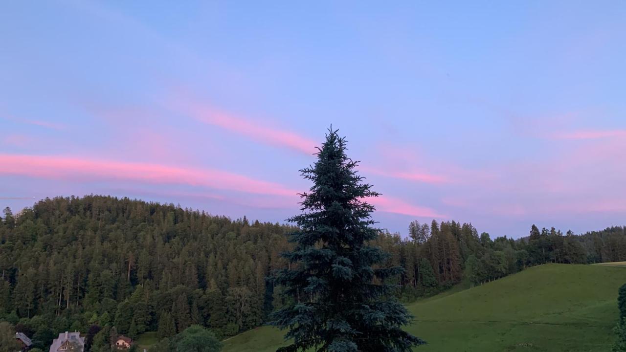 Ferienhaus Rotzinger Hinterzarten Bagian luar foto