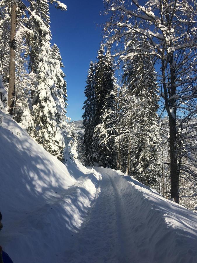 Ferienhaus Rotzinger Hinterzarten Bagian luar foto