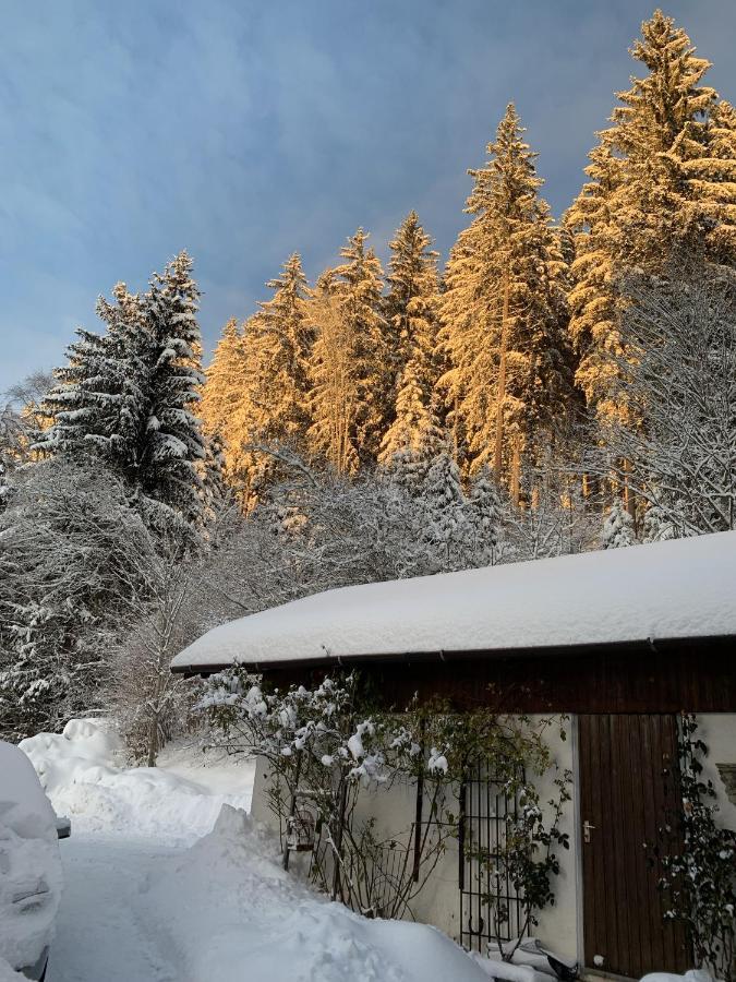 Ferienhaus Rotzinger Hinterzarten Bagian luar foto